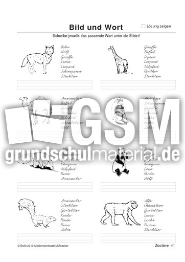 BuW Zootiere41.pdf